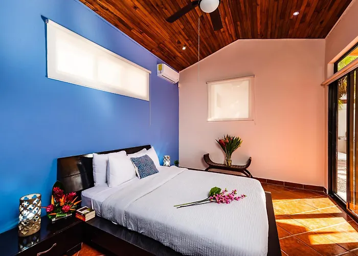 Сasa de vacaciones Remodeled Casa Tropical W Private Pool